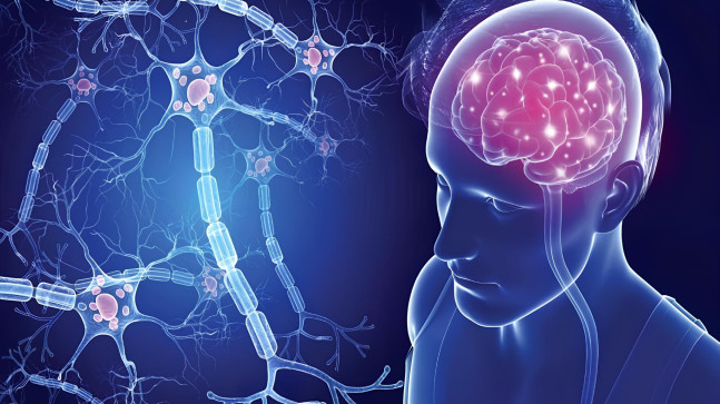 MS Hastalığında Kök Hücre Tedavileri Umut Oluyor!