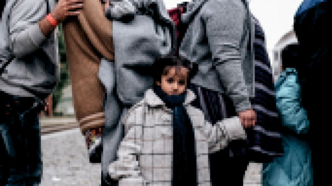 Mülteci Hakları