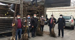 Beyşehir’de ceviz üretimi yaygınlaşacak
