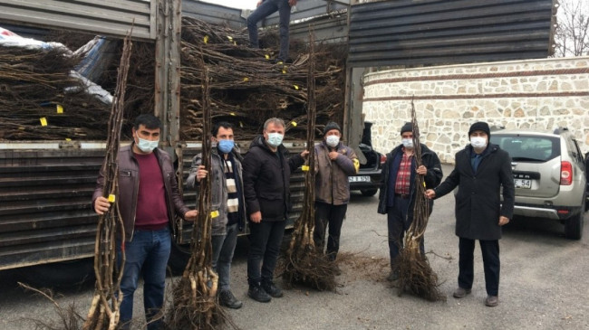 Beyşehir’de ceviz üretimi yaygınlaşacak