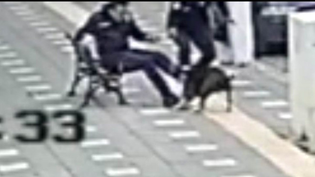 Manisa’da iki polis pitbull saldırısına uğradı