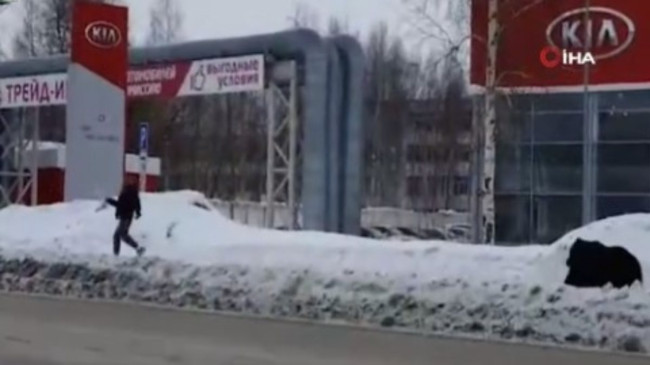 Rusya’da şehre inan ayı, insanları kovaladı