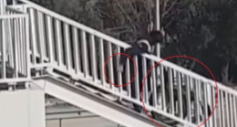 Yalova’da engelli vatandaşa üst geçit işkencesi