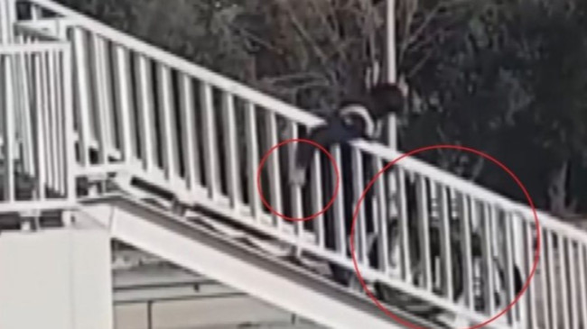 Yalova’da engelli vatandaşa üst geçit işkencesi