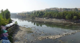 Diyarbakır Dicle Nehri’nde binlerce balık telef oldu
