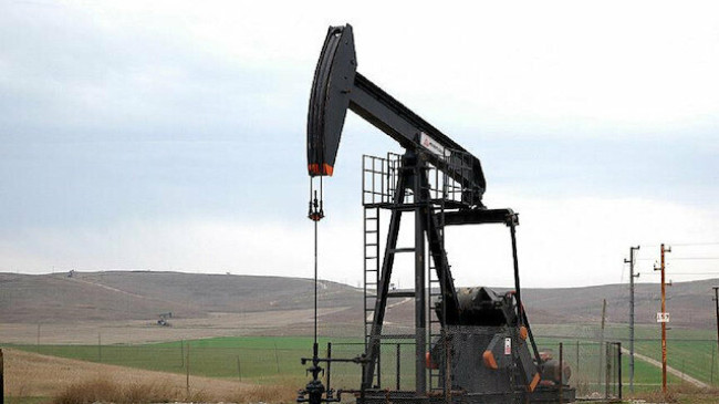 TPAO Genel Müdürü Bilgin, Filyos’a 5 bin kişinin istihdam edileceğini açıkladı